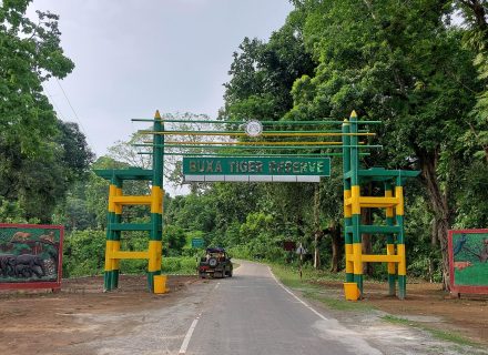 বক্সা বন জঙ্গলের গভীরে এক রোমাঞ্চকর অভিযান