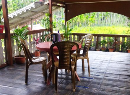 ২০২৫-এ উত্তরবঙ্গে লুকানো যে ১০টি অফবিট গন্তব্য আপনার মনকে উড়িয়ে দেবে!