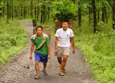বক্সা বনের গ্রামজীবন: জঙ্গলের কোলে এক সরল, সংগ্রামী জীবন