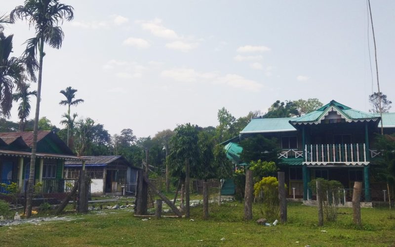 Why Buxa Homestay is Best option for Jungle Stay and Safari
