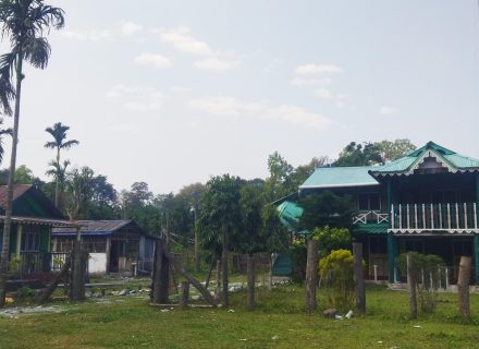 আন্তর্জাতিক বাঘ দিবসে বক্সা টাইগার রিজার্ভ