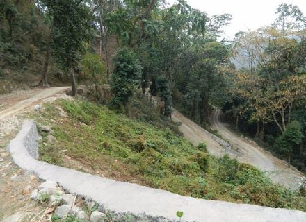 বক্সা-লেপচাখা ট্রেক: মেঘে ঢাকা পাহাড়ি পথে রোমাঞ্চের গল্প