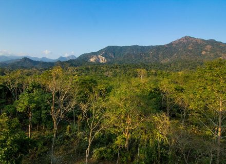 ২০২৫-এর পুজোয় বক্সার হাতছানি: জঙ্গল সাফারি নতুন করে শুরু হচ্ছে ১৫ই  সেপ্টেম্বর