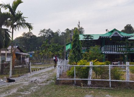বক্সা জঙ্গলে মে-জুনে ভ্রমণের আদর্শ সময় কেন?